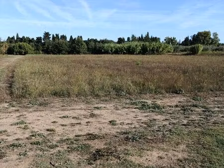 terrain agricole