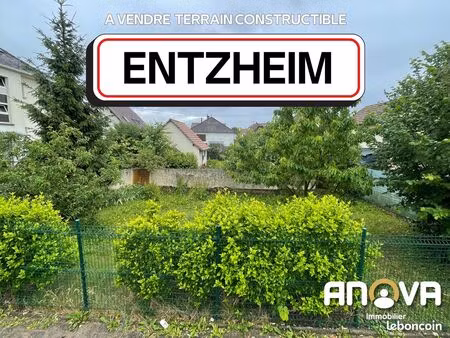 terrain 550 m² entzheim