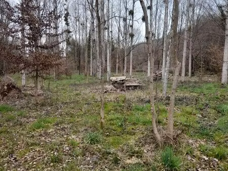 parcelle boisée avec pré