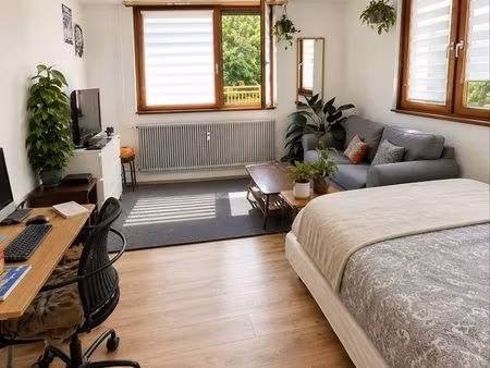 appartement 1 piece quai mullenheim