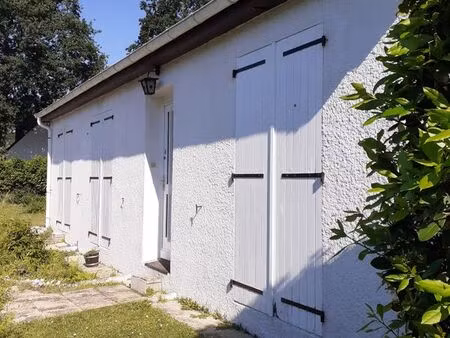 maison a louer fin aout orvault