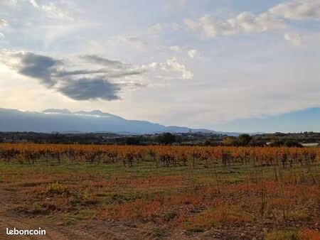 terrain 421 m² brouilla