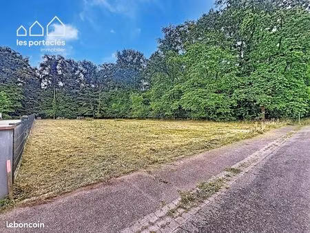 forêt 1 443 m² biblisheim