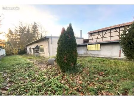 local 1530 m² colmar