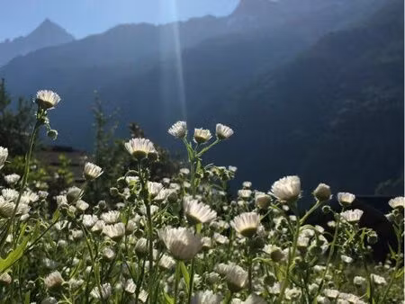 ◊ recherche terrain entre servoz et vallorcine