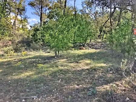 vente terrain 5900 m² à seillans (83440)  38 000 €