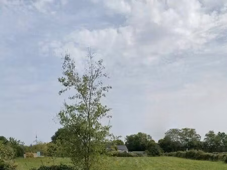 terrain constructible 3362m2