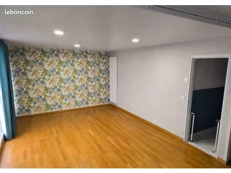 appartement lumineux de 60m2 . 2 chambres avec balcon plein sud  garage et cave