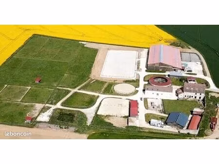location de 7 à 13 boxes au haras du morin