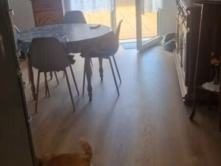 appartement templeuve une chambre 40m2