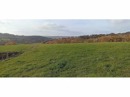 vente terrain 2953 m² à dampniat (19360)  48 000 €