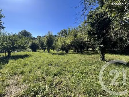 terrain 3 036 m² albi