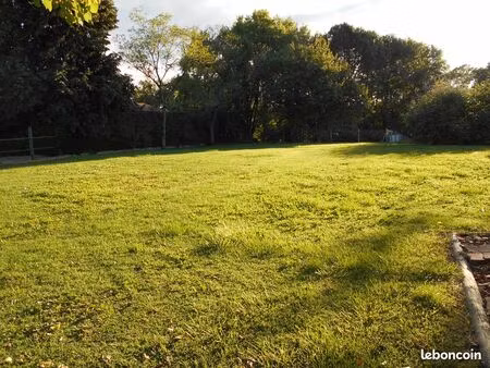 terrain constructible