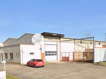 local 1330 m² duttlenheim