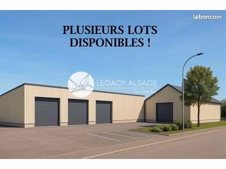 local 290 m² duttlenheim