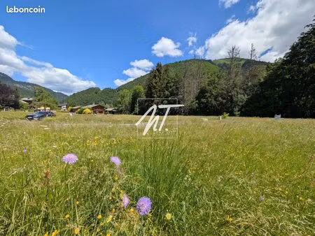 terrain 535 m² montriond