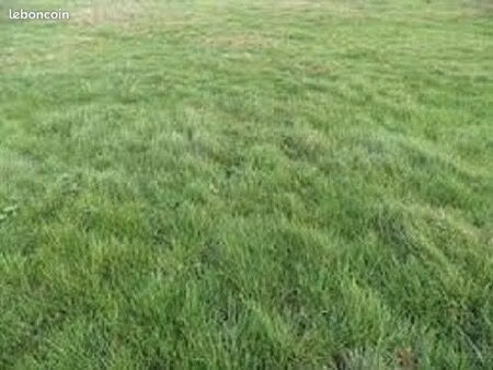terrain 1 120 m² rubelles
