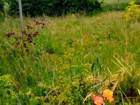 terrain constructible 900m2