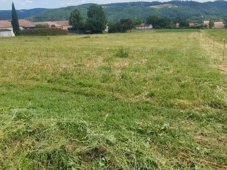 terrain constructible roquecourbe 81210