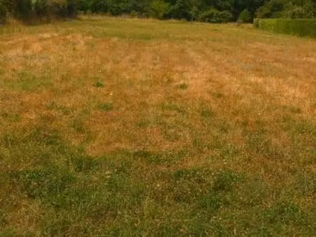 terrain briatexte 2320m2