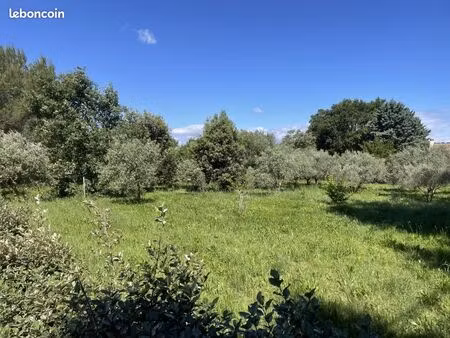 terrain 716 m² orange