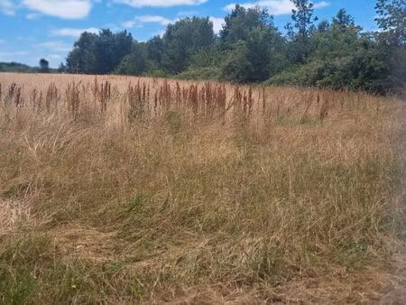 terrain constructible