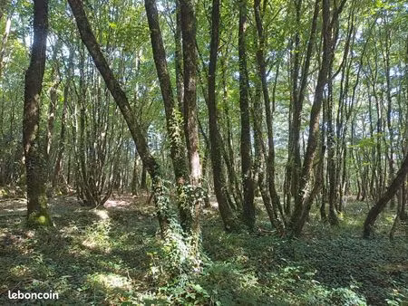 vends terrains boisés