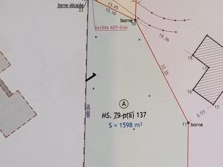 terrain plat arboré