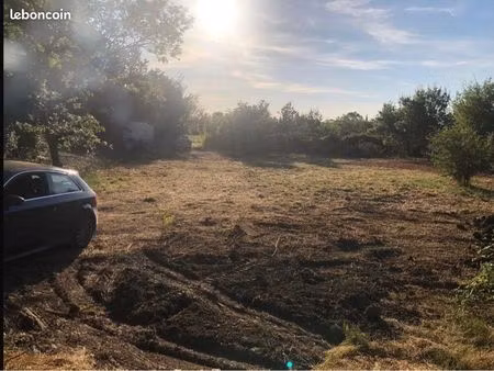 terrain agricole