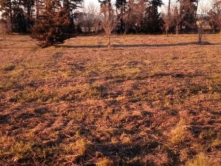 terrain agricole