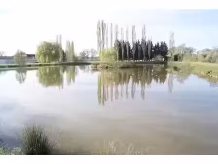 vente terrain 18627 m² à domérat (03410)  51 525 €