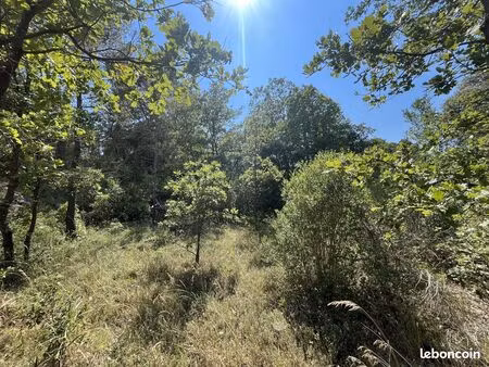 terrain 1101 m² saint-maximin-la-sainte-baume