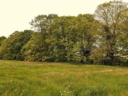 terrain 5762 m² avanton