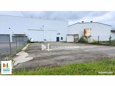 local d'activité 440 m²