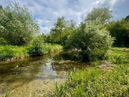 terrain de loisirs avec étang – parcelles bornées de 250 à 500 m² – secteur recherché la c