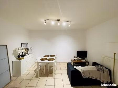 appartement plein centre de chauvigny