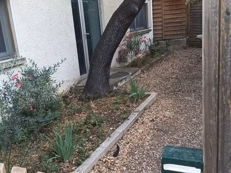 petite maison a louer