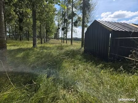 ? prairie à louer pour chevaux – franqueville (02140  aisne)