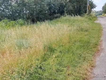 82200 moissac terrain 3ha43a en viager