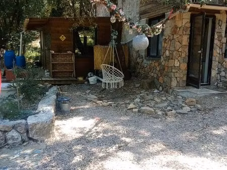 maison en forêt