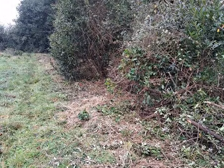 vente - deux terrains de 800m2 - soullans 85300