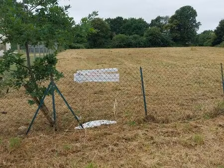 terrain constructible