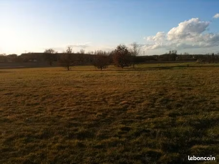 terrain 10000 m²