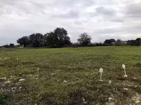 vente terrain 782 m² à la chapelle-sur-oudon (49500)  73 500 €