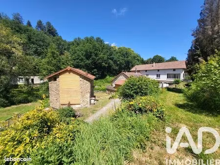 moulin 11 pièces 242 m²