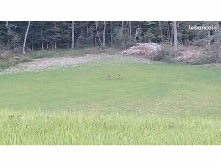 cherche maison ou appartement en location avec jardinet et 3 chambres minimum