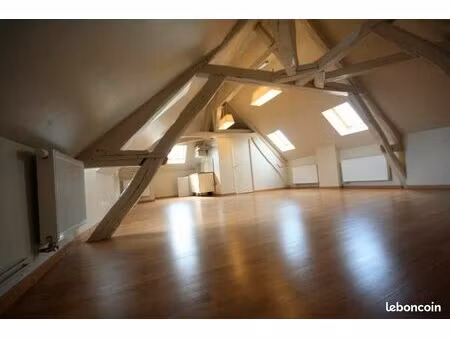 agréable loft 55m2 meublé situé à bray sur seine (120km de paris)