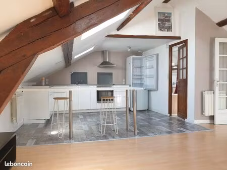 appartement centre ville - open space 56m2