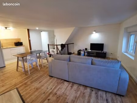 grand t2 de 55m2  totalement meublé et rénové en hyper centre