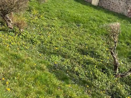 recherche maison à louer